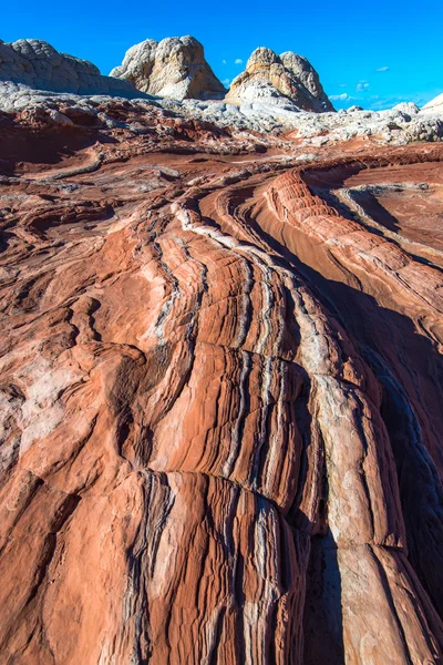 Blanco Pocker, Arizona —  Fotos de Stock