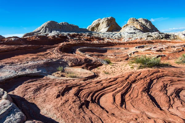 Bianco Pocker, Arizona — Foto Stock