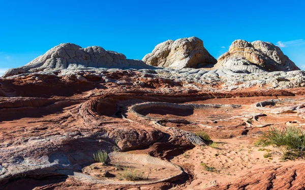 Blanco Pocker, Arizona —  Fotos de Stock