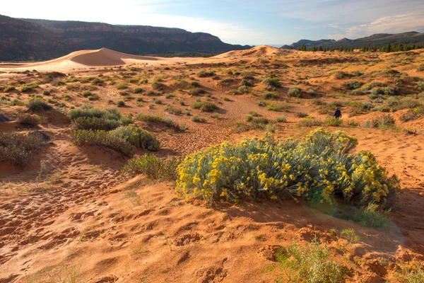 coral pink sand dunes