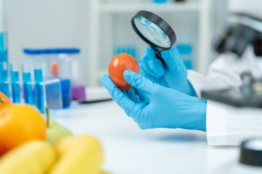 Bilimadamları, laboratuvardaki meyve ve sebze artıkları üzerindeki kimyasal maddelerin fiziksel etkilerini kontrol etmek için büyüteç kullanıyorlar. Kimyasal kalıntıların konsantrasyonunu inceleyin, standart, yasaklı maddeyi bulun