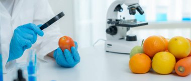 Bilimadamları, laboratuvardaki meyve ve sebze artıkları üzerindeki kimyasal maddelerin fiziksel etkilerini kontrol etmek için büyüteç kullanıyorlar. Kimyasal kalıntıların konsantrasyonunu inceleyin, standart, yasaklanmış maddeleri bulun