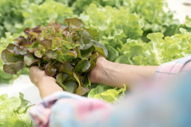 Asyalı kadın işyeri sahibi dijital tablet kullanıyor dağıtım deposu fabrikasındaki stok ürün envanterini kontrol ediyor. Lojistik iş gemisi ve teslimatı, envanter akışı, profesyonel iş akışı..