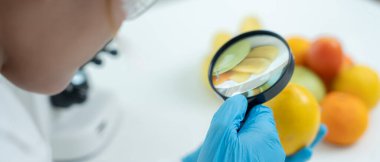 Bilimadamları, laboratuvardaki meyve ve sebze artıkları üzerindeki kimyasal maddelerin fiziksel etkilerini kontrol etmek için büyüteç kullanıyorlar. Kimyasal kalıntıların konsantrasyonunu inceleyin, standart, yasaklanmış maddeleri bulun