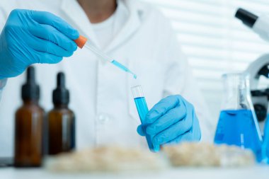 Bilimadamı laboratuvardaki tüm kimyasal tanecikleri kontrol ediyor. Kontrol uzmanları kimyasal kalıntıların konsantrasyonunu inceliyor. Tehlike, standart, yasaklı maddeler, kirlilik, mikrobiyolog