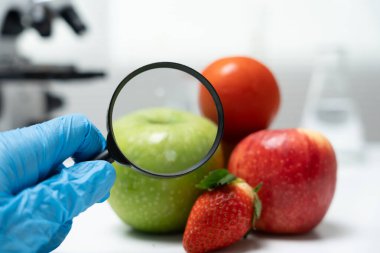 Bilimadamları, laboratuvardaki meyve ve sebze artıkları üzerindeki kimyasal maddelerin fiziksel etkilerini kontrol etmek için büyüteç kullanıyorlar. Kimyasal kalıntıların konsantrasyonunu inceleyin, standart, yasaklanmış maddeleri bulun