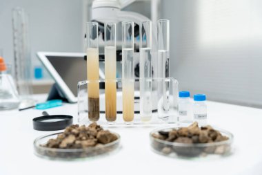 Jeoloji, jeolojik kaynak bilimcisi, toprak bilimi, doğal kaynak sürdürülebilirliği, toprak mineralleri, laboratuvar testleri, laboratuvar deneyleri, kimyasal kalıntılar için testler, çevre bilimi