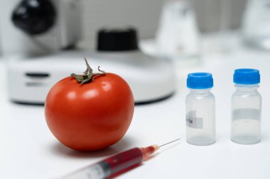 Laboratuvardaki yiyecek artıkları için bilim adamı GDO 'su. Denetim uzmanları meyvelerin kalitesini incelerler, bilim adamları deneyler, tehlikeler, yasaklanmış maddeler ve kirlilik için elmalara kimyasal madde enjekte ederler.