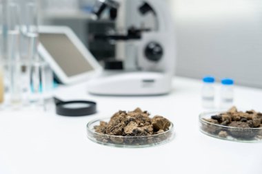 Jeoloji, jeolojik kaynak bilimcisi, toprak bilimi, doğal kaynak sürdürülebilirliği, toprak mineralleri, laboratuvar testleri, laboratuvar deneyleri, kimyasal kalıntılar için testler, çevre bilimi