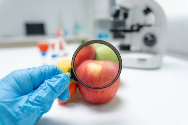 Bilimadamları, laboratuvardaki meyve ve sebze artıkları üzerindeki kimyasal maddelerin fiziksel etkilerini kontrol etmek için büyüteç kullanıyorlar. Kimyasal kalıntıların konsantrasyonunu inceleyin, standart, yasaklanmış maddeleri bulun