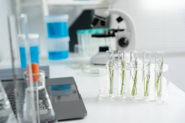 Çevre bilimi, test tüplerindeki bitki genetiğini inceleyen bilim adamları, laboratuvar testleri, yeşil bitkiler üzerinde yapılan laboratuvar deneyleri, kimyasal atıklar için yapılan testler, gıda güvenliği..