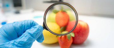 Bilimadamları, laboratuvardaki meyve ve sebze artıkları üzerindeki kimyasal maddelerin fiziksel etkilerini kontrol etmek için büyüteç kullanıyorlar. Kimyasal kalıntıların konsantrasyonunu inceleyin, standart, yasaklanmış maddeleri bulun