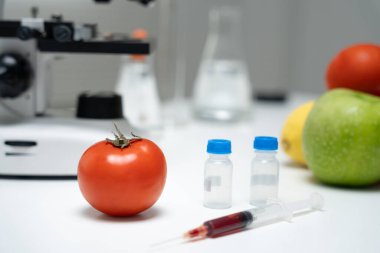 Laboratuvardaki yiyecek artıkları için bilim adamı GDO 'su. Denetim uzmanları meyvelerin kalitesini incelerler, bilim insanları deneyler, tehlikeler, yasaklı maddeler, kirlilik için elmalara kimyasallar enjekte ederler.