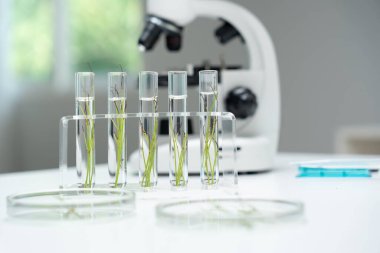 Çevre bilimi, test tüplerindeki bitki genetiğini inceleyen bilim adamları, laboratuvar testleri, yeşil bitkiler üzerinde yapılan laboratuvar deneyleri, kimyasal atıklar için yapılan testler, gıda güvenliği..