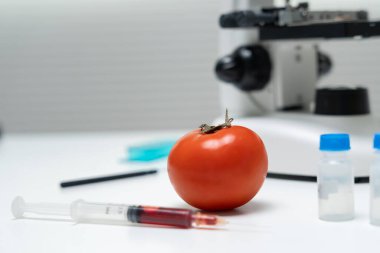 Laboratuvardaki yiyecek artıkları için bilim adamı GDO 'su. Denetim uzmanları meyvelerin kalitesini incelerler, bilim adamları deneyler, tehlikeler, yasaklanmış maddeler ve kirlilik için elmalara kimyasal madde enjekte ederler.