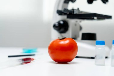 Laboratuvardaki yiyecek artıkları için bilim adamı GDO 'su. Denetim uzmanları meyvelerin kalitesini incelerler, bilim insanları deneyler, tehlikeler, yasaklı maddeler, kirlilik için elmalara kimyasallar enjekte ederler.