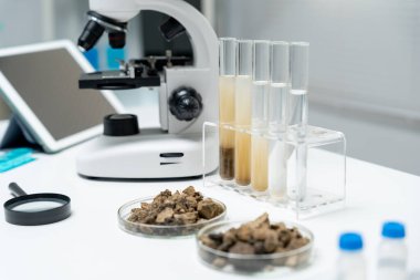 Jeoloji, jeolojik kaynak bilimcisi, toprak bilimi, doğal kaynak sürdürülebilirliği, toprak mineralleri, laboratuvar testleri, laboratuvar deneyleri, kimyasal kalıntılar için testler, çevre bilimi