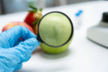 Bilimadamları, laboratuvardaki meyve ve sebze artıkları üzerindeki kimyasal maddelerin fiziksel etkilerini kontrol etmek için büyüteç kullanıyorlar. Kimyasal kalıntıların konsantrasyonunu inceleyin, standart, yasaklanmış maddeleri bulun