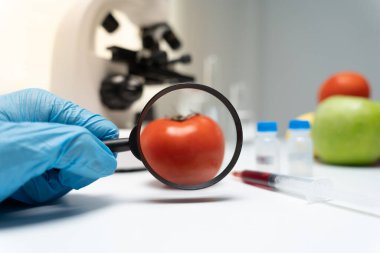 Bilimadamları, laboratuvardaki meyve ve sebze artıkları üzerindeki kimyasal maddelerin fiziksel etkilerini kontrol etmek için büyüteç kullanıyorlar. Kimyasal kalıntıların konsantrasyonunu inceleyin, standart, yasaklı maddeyi bulun