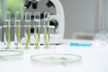 Çevre bilimi, test tüplerindeki bitki genetiğini inceleyen bilim adamları, laboratuvar testleri, yeşil bitkiler üzerinde yapılan laboratuvar deneyleri, kimyasal atıklar için yapılan testler, gıda güvenliği.