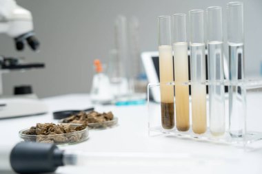 Jeoloji, jeolojik kaynak bilimcisi, toprak bilimi, doğal kaynak sürdürülebilirliği, toprak mineralleri, laboratuvar testleri, laboratuvar deneyleri, kimyasal kalıntılar için testler, çevre bilimi