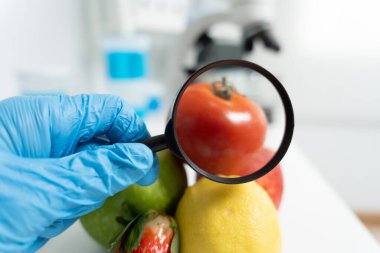 Bilimadamları, laboratuvardaki meyve ve sebze artıkları üzerindeki kimyasal maddelerin fiziksel etkilerini kontrol etmek için büyüteç kullanıyorlar. Kimyasal kalıntıların konsantrasyonunu inceleyin, standart, yasaklanmış maddeleri bulun