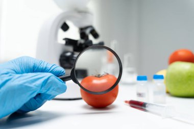 Bilimadamları, laboratuvardaki meyve ve sebze artıkları üzerindeki kimyasal maddelerin fiziksel etkilerini kontrol etmek için büyüteç kullanıyorlar. Kimyasal kalıntıların konsantrasyonunu inceleyin, standart, yasaklı maddeyi bulun