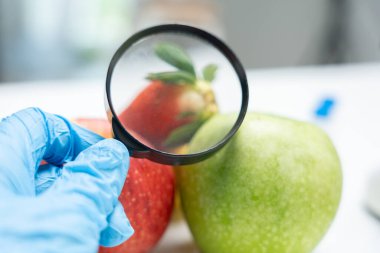Bilimadamları, laboratuvardaki meyve ve sebze artıkları üzerindeki kimyasal maddelerin fiziksel etkilerini kontrol etmek için büyüteç kullanıyorlar. Kimyasal kalıntıların konsantrasyonunu inceleyin, standart, yasaklanmış maddeleri bulun