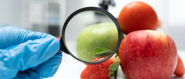 Bilimadamları, laboratuvardaki meyve ve sebze artıkları üzerindeki kimyasal maddelerin fiziksel etkilerini kontrol etmek için büyüteç kullanıyorlar. Kimyasal kalıntıların konsantrasyonunu inceleyin, standart, yasaklanmış maddeleri bulun