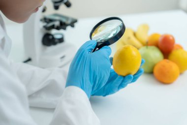 Bilimadamları, laboratuvardaki meyve ve sebze artıkları üzerindeki kimyasal maddelerin fiziksel etkilerini kontrol etmek için büyüteç kullanıyorlar. Kimyasal kalıntıların konsantrasyonunu inceleyin, standart, yasaklanmış maddeleri bulun