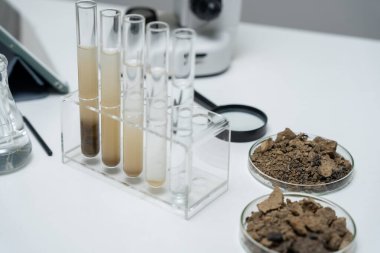 Jeoloji, jeolojik kaynak bilimcisi, toprak bilimi, doğal kaynak sürdürülebilirliği, toprak mineralleri, laboratuvar testleri, laboratuvar deneyleri, kimyasal kalıntılar için testler, çevre bilimi