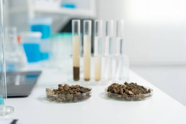 Jeoloji, jeolojik kaynak bilimcisi, toprak bilimi, doğal kaynak sürdürülebilirliği, toprak mineralleri, laboratuvar testleri, laboratuvar deneyleri, kimyasal kalıntılar için testler, çevre bilimi