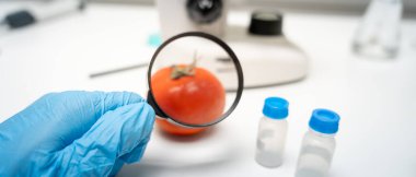 Bilimadamları, laboratuvardaki meyve ve sebze artıkları üzerindeki kimyasal maddelerin fiziksel etkilerini kontrol etmek için büyüteç kullanıyorlar. Kimyasal kalıntıların konsantrasyonunu inceleyin, standart, yasaklanmış maddeleri bulun