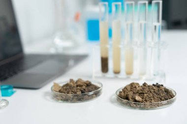 Jeoloji, jeolojik kaynak bilimcisi, toprak bilimi, doğal kaynak sürdürülebilirliği, toprak mineralleri, laboratuvar testleri, laboratuvar deneyleri, kimyasal kalıntılar için testler, çevre bilimi