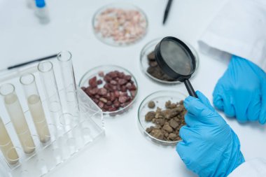 Coğrafya, Kaynak Coğrafyası, Toprak Bilimi, Doğal Kaynak Sürdürülebilirliği, Kaya oluşumlarındaki Mineraller, Laboratuar Testi, Laboratuar Testi, Fosil Deposu. Çevre Bilimi