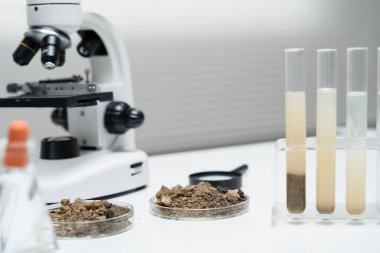 Jeoloji, jeolojik kaynak bilimcisi, toprak bilimi, doğal kaynak sürdürülebilirliği, toprak mineralleri, laboratuvar testleri, laboratuvar deneyleri, kimyasal kalıntılar için testler, çevre bilimleri.