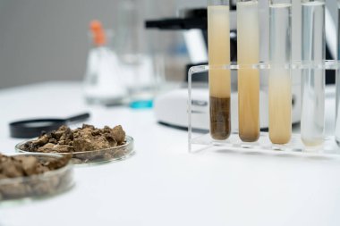 Jeoloji, jeolojik kaynak bilimcisi, toprak bilimi, doğal kaynak sürdürülebilirliği, toprak mineralleri, laboratuvar testleri, laboratuvar deneyleri, kimyasal kalıntılar için testler, çevre bilimi