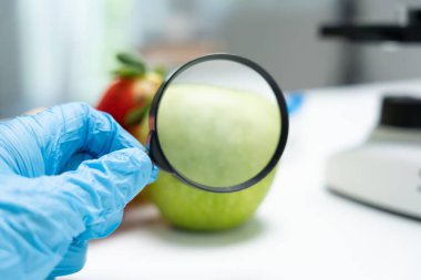 Bilimadamları, laboratuvardaki meyve ve sebze artıkları üzerindeki kimyasal maddelerin fiziksel etkilerini kontrol etmek için büyüteç kullanıyorlar. Kimyasal kalıntıların konsantrasyonunu inceleyin, standart, yasaklanmış maddeleri bulun