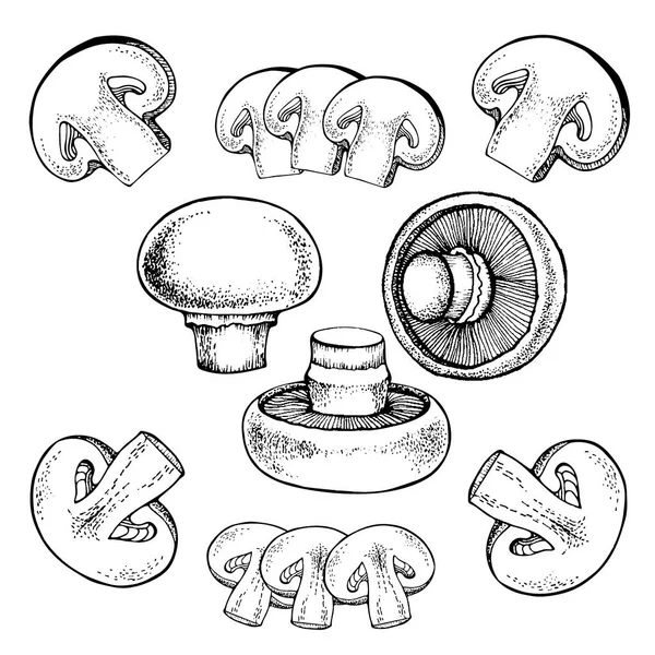 Vectorset champignon champignons — Stockvector