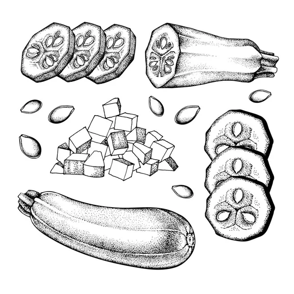 Illustration vectorielle Jeu de dessin vectoriel de courgettes — Image vectorielle