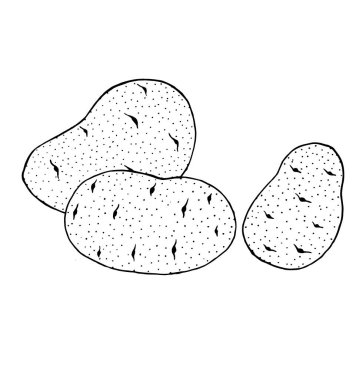 Patates çizen vektör