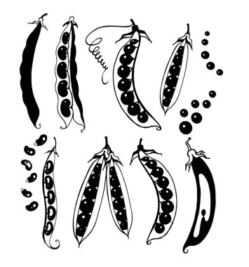 Bezelye ve fasulye çizen vektör kümesi