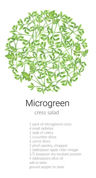 Řeřichový mikrozelený salát — Stock fotografie