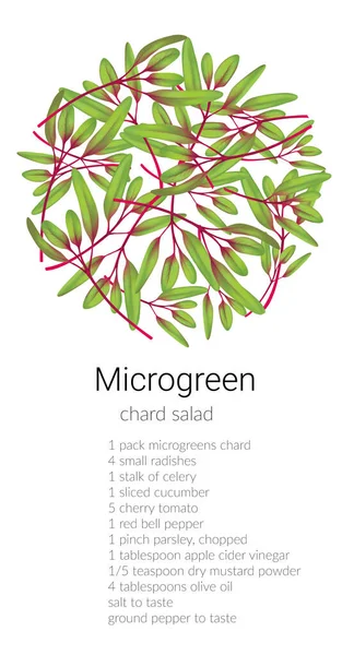 Chard microgreen salát — Stock fotografie