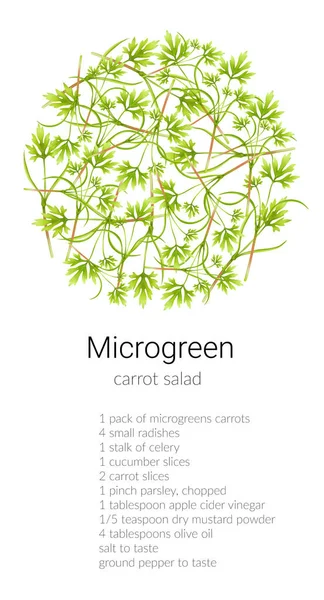 Mrkvový mikrozelený salát — Stock fotografie