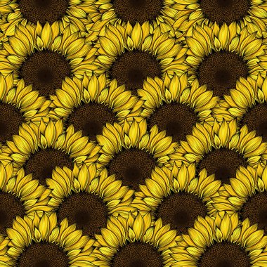 Kusursuz desenli ayçiçeği, ayçiçekli güzel kırsal arka plan, ayçiçeği düz sarı ayçiçeği çekirdekleri ve sarı çiçek desenli ay çiçeği deseni