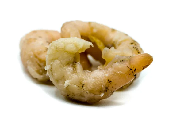 Shrimp Isolated White Background — Stock Photo, Image