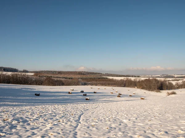 View Wintry Vogtland Saxony — Stock Photo, Image