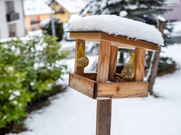 Птичий Домик Покрытый Семенами Птиц Снегом — стоковое фото