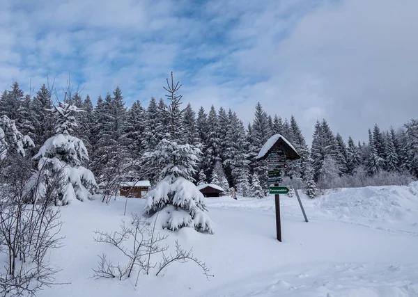 Wanderung Durch Das Verschneite Vogtland Winter — Stockfoto